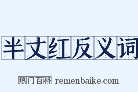 半丈红反义词是什么意思的图片